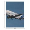 The Airbus Beluga XL Throw Blanket for winter blankets ands Sofa Quilt Warm Blankets