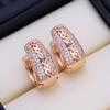Stud Earrings For Women Fashion Luxury Cubic Zirconia Drop Earrings