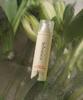 Forêt De Fontainebleau Moisture Perfume Body Mist 120ml