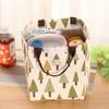 Lightweight Lunch Box Women Girl Cooler Carryall Lunch Carryall Insulation Package Insulated Thermal Food Picnic Carryalls Pouch for Kids Children