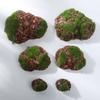 Simulated Wood Chips and Moss Stones for Micro Landscape and Bonsai Decoration