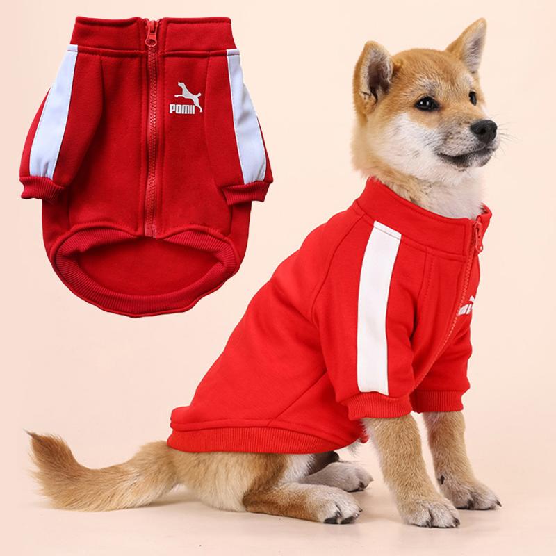 raincoat plus sweater