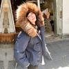 Cotton clothes women's new lamb wool cotton clothes short loose cotton clothes fashionable versatile small jacket jacket