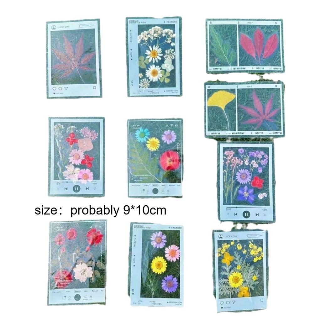 20pcs Vintage-Inspired DIY Transparent Bookmarks with Pressed Flower and Leaf Art - Handmade Frame, Perfect for Nature Themes