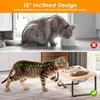 Elevated Cat Bowl Wooden 15° Tilted Raised Pet Bowl Stand with 2/3 Stainless Steel Bowl Neck Protection Dog Feeder Pet Supplies