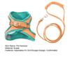 Pet Harness Cat Halter Soft Breathable Vest with Cat Leash Reflective Safety Harness for Outdoor Walking And Traveling