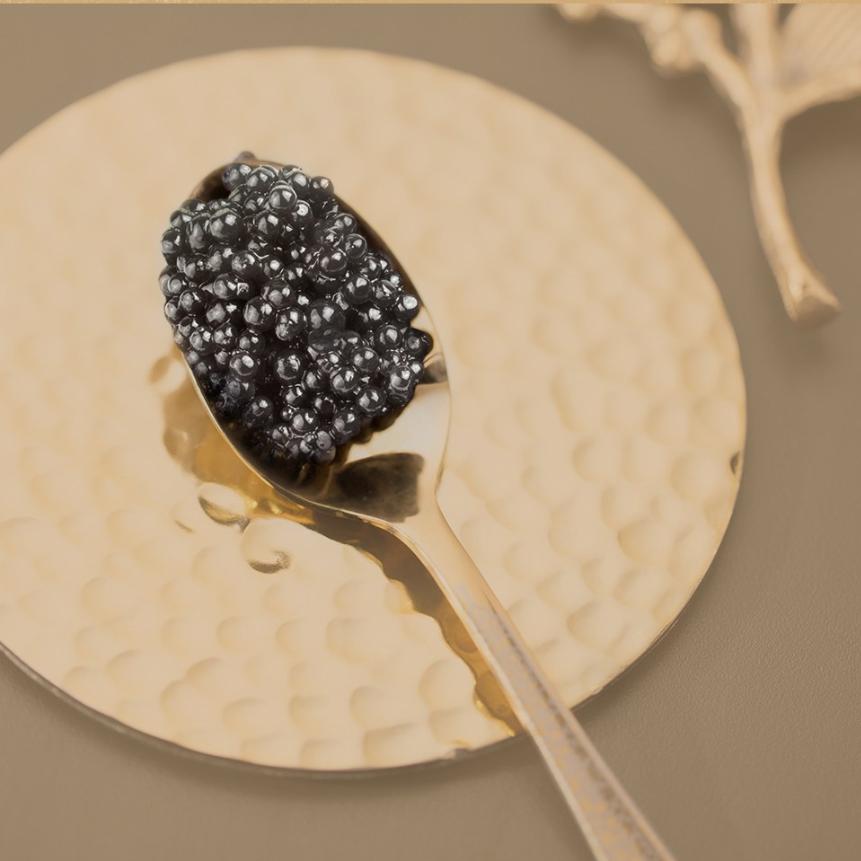 Nature Republic Ginseng Gold Silk Watery Cream 60ml