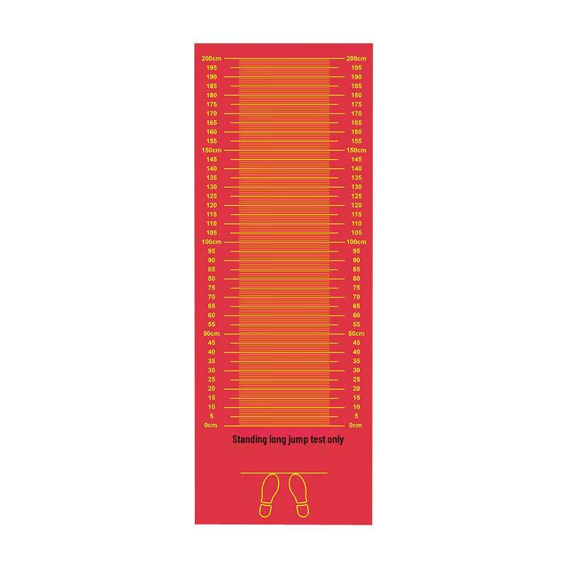 Pioneer Link Standing Long Jump Mat