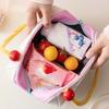 Large Capacity Thermal Insulation Bag Thickened Picnic Box Pouch 3D Handheld Insulated Bag  Kids