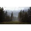 Simulation - hunting simulator 2 - ps4 - en boîte - chasse réaliste en montagne, désert et forêt