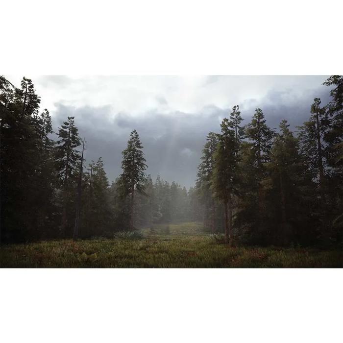 Simulation - hunting simulator 2 - ps4 - en boîte - chasse réaliste en montagne, désert et forêt