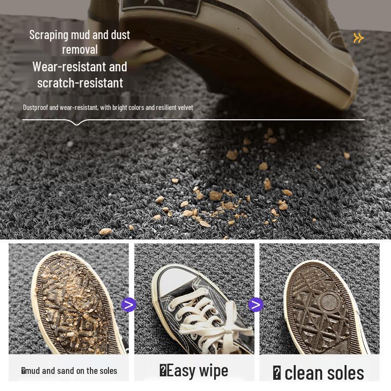 Beneng Imitation Coir Scraper Doormat