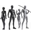 Huijokf Drawing Drawing Cartoon Model Female Drawing Mannequin Figure Model Scale Model Stand Doll Body Male and Model, Doll, Doll, Model, Drawing,