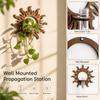 Wood Wall Propagation Station Bohemian Style Plant Propagation Vase  Bedroom Wall Decor