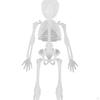 Halloween Skeleton Decoration Full Body Movable Joints Skeletons Model for Spooky Scene
