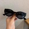 Cute Sexy Retro Cat Eye Sunglasses Woman Small Frame Black Gradient Ladies Sun Glasses Vintage Brand Designer