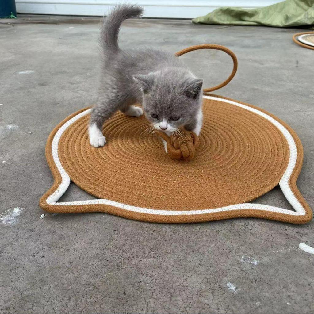Wear-Resistant Woven Cat Scratching Mat with Self-Entertainment Ball, Cooling Mat, and Sleeping Area