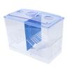 Breeding Tanks for Aquarium Small Fish Fry Isolation Box Hatchery Boxes for Tropical Fish Clear Fish Spawning Box