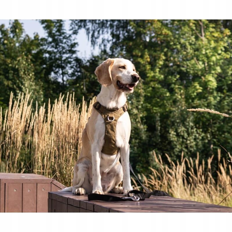 Khaki szelki dla psa adventure dog truelove xxs