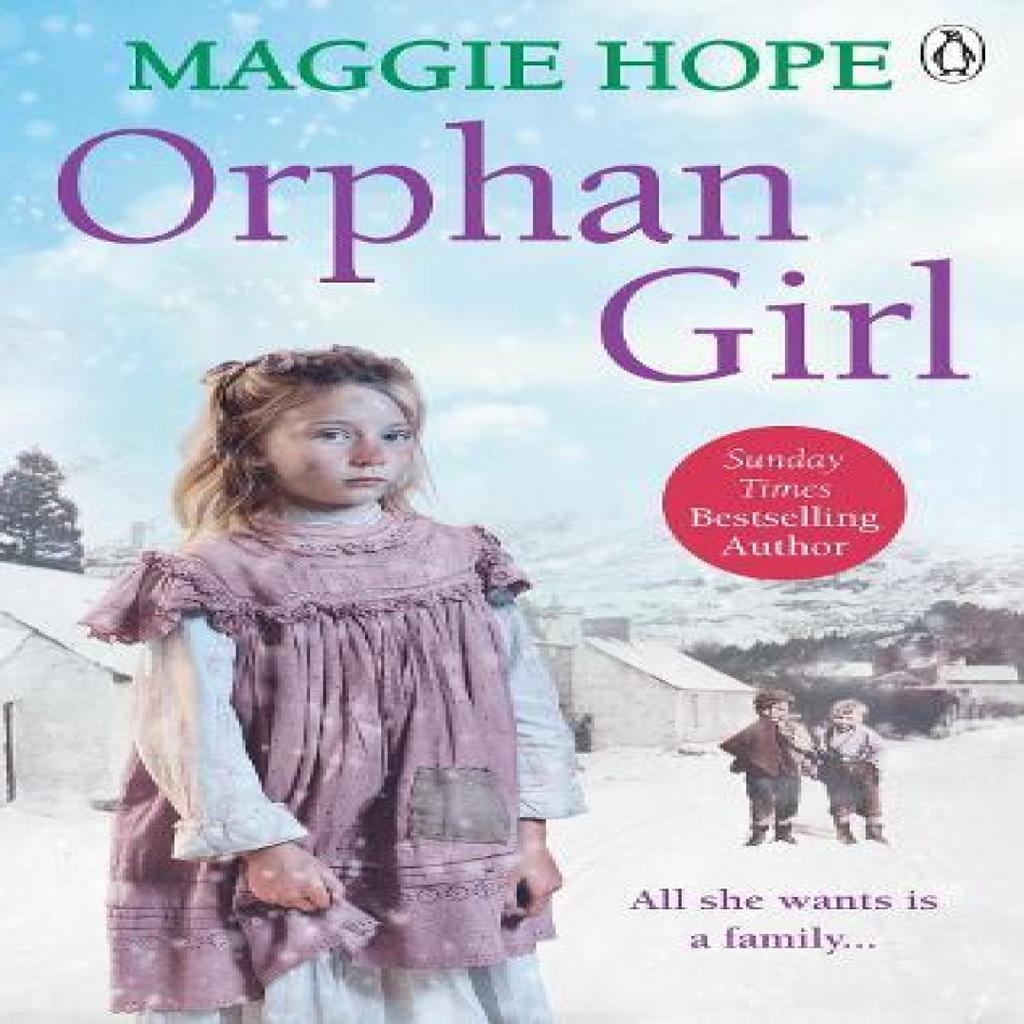 Orphan Girl by Maggie Hope Paperback Book 9780091957384