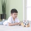 PolarB Polar B Hedgehog Sorting Pull Birthday Shape x x cm Toy, Gift, Matching, TYPR44025, 20.2 9.7 16.3 (x 1)