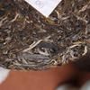 HAIWAN Old Comrade Wei Tian Xia Ren Zuo Hao Cha Pu-erh Tea Cake 357g Raw