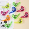 10 Pcs Random Color Bird Whistle Outdoor Sports Drawing Funny Musical Toy Novelty Educational Novelty Musical Toy Children Toy