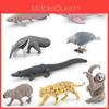 Set di Modelli di Animali Sudamericani Coccodrillo Delfino Decorazione in Plastica Per Appassionati di Natura