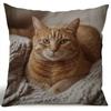 Sofa Pillow Pillowcase Skin-friendly Short Plush Cute Animal Cat Pillow Cover Living Room Cushion Cover Without Core
