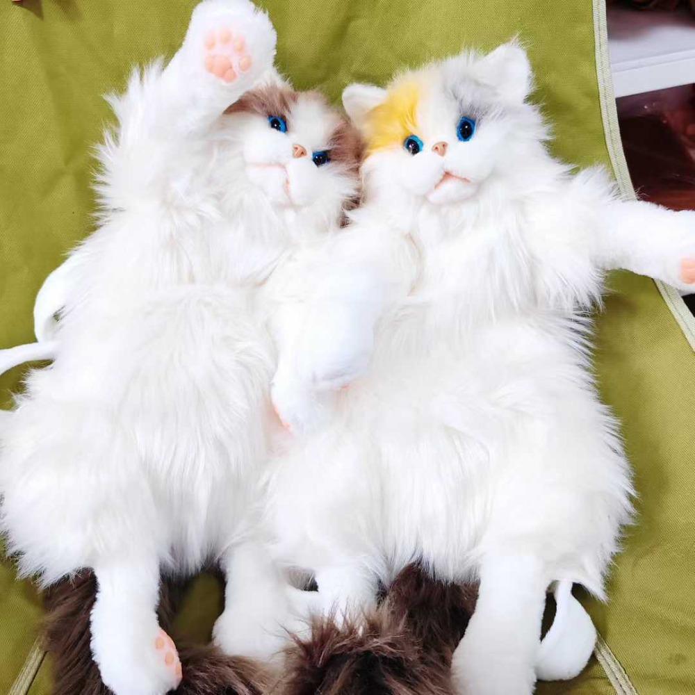 Tříkvětá kočka simulační kočka panenka panenka panenka plyšová hračka hadrová panenka kočka batoh dárek k narozeninám