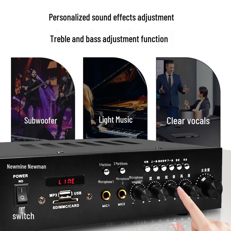 Newmine R1 Constant Voltage & Impedance Bluetooth Amplifier