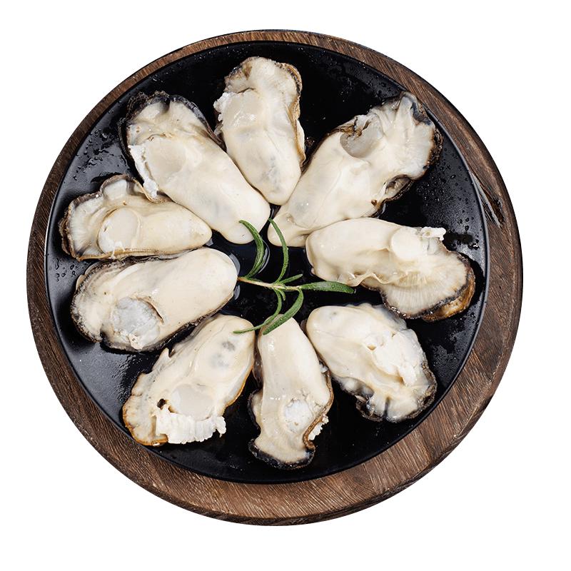 Premium Korean Frozen Oyster Meat