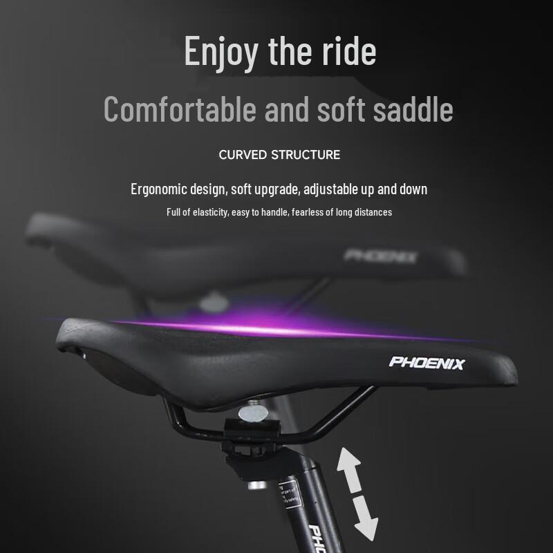 Phoenix Raptor 9-Speed XC Mountain Bike