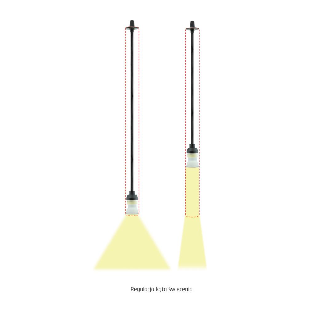 Hanging Lamp 1Xgu10