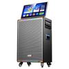 SAST SA-815 Series Portable KTV Speaker (CN Version)