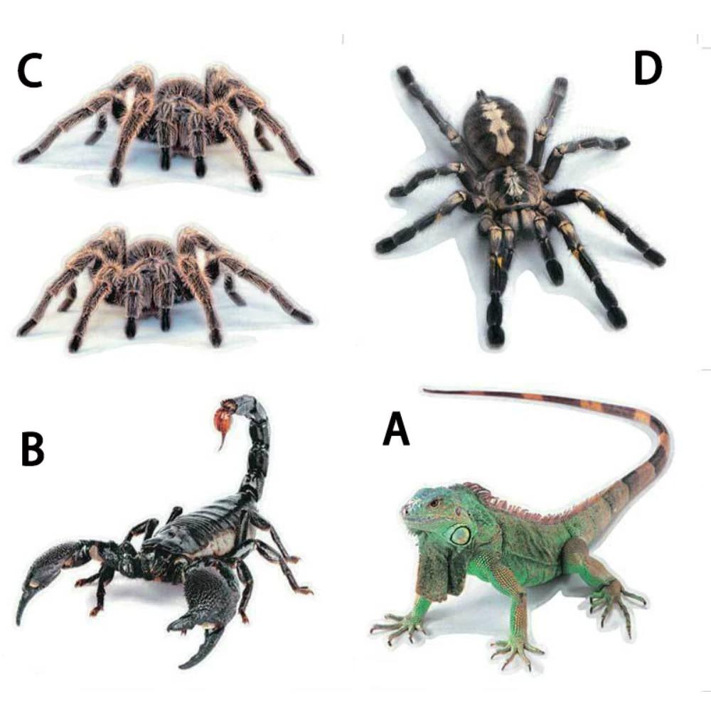3D Animal Figure Spider Lizard Scorpion Car Sticker Car Window Glass Bumper Decal Decoration Water Resistance and High Viscosity