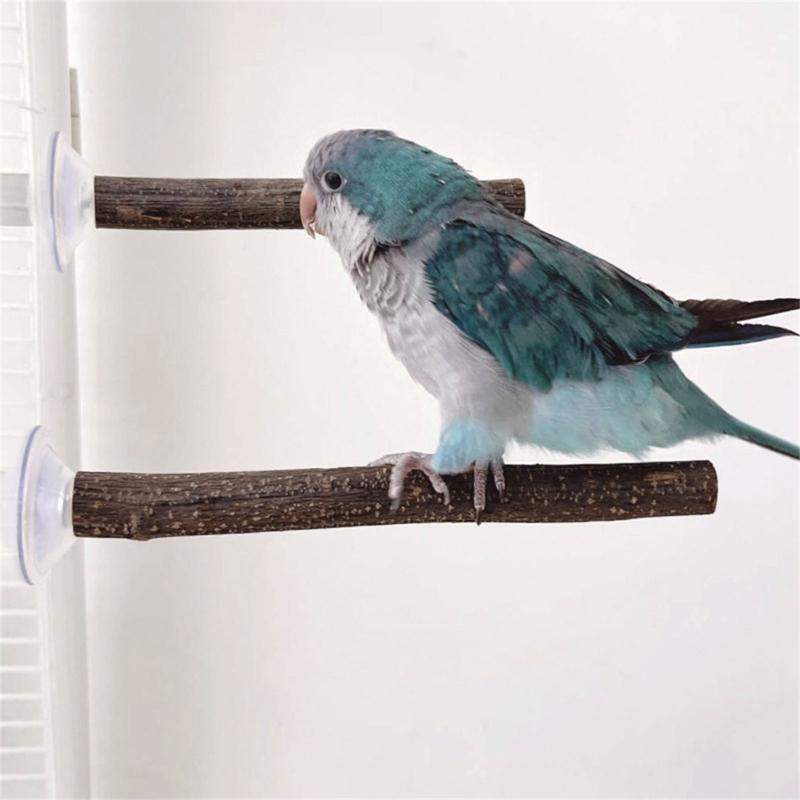 3lots Suction Cup Bird Toy Perches Stand Climbing Playing Parrots Perches Toy for Parakeets and Medium Birds