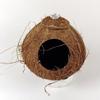 Coconut Shell Hanging Bird Nest for Parrots, Finch, Budgie, and Pearl Breeding.