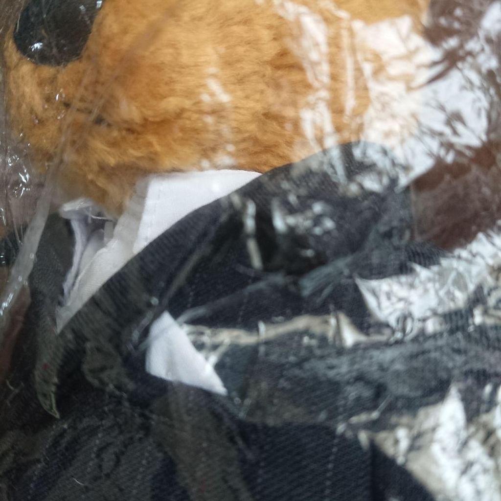 [USED] Regal Teddy Bear Novelty 2005