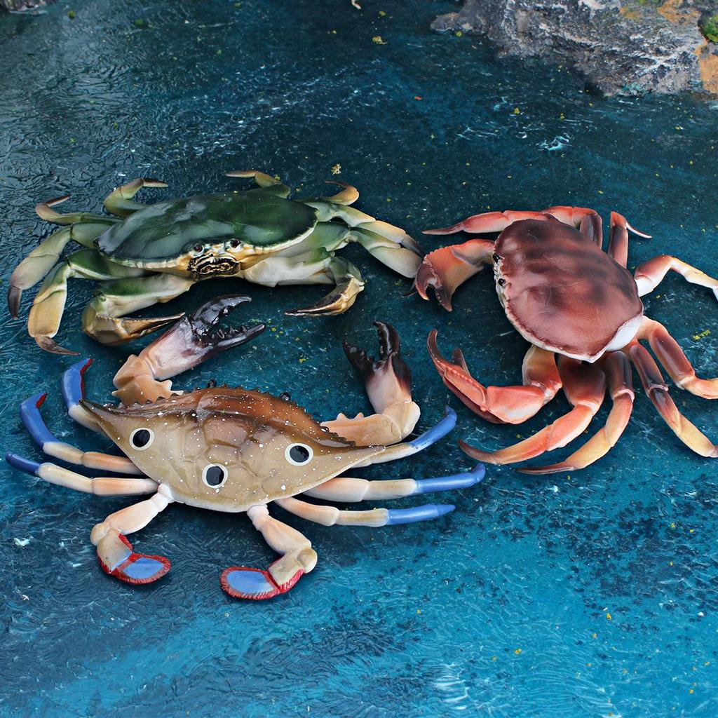 Marine Animal Crab Model: Children's Cognitive Toy and Decorative Three-Eyed Blue Crab Ornament