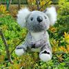 Australian Koala Plush Toy - Soft Cloth Doll for Girls' Birthday Gift