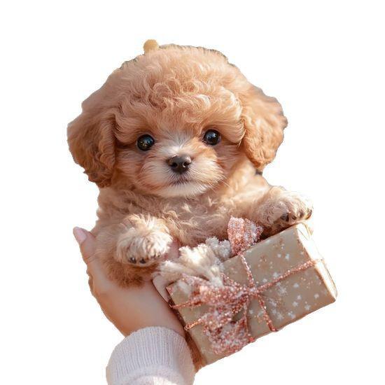 Interactive Plush Robot Puppy - Electronic Pet Toy for Kids