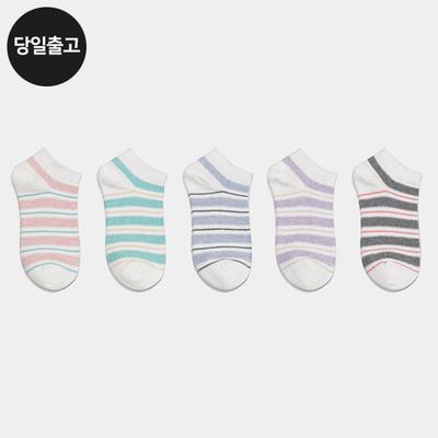 PG Women's/Student Classic Ringle Ankle Socks (5 Pairs) Daily Stripe Set
