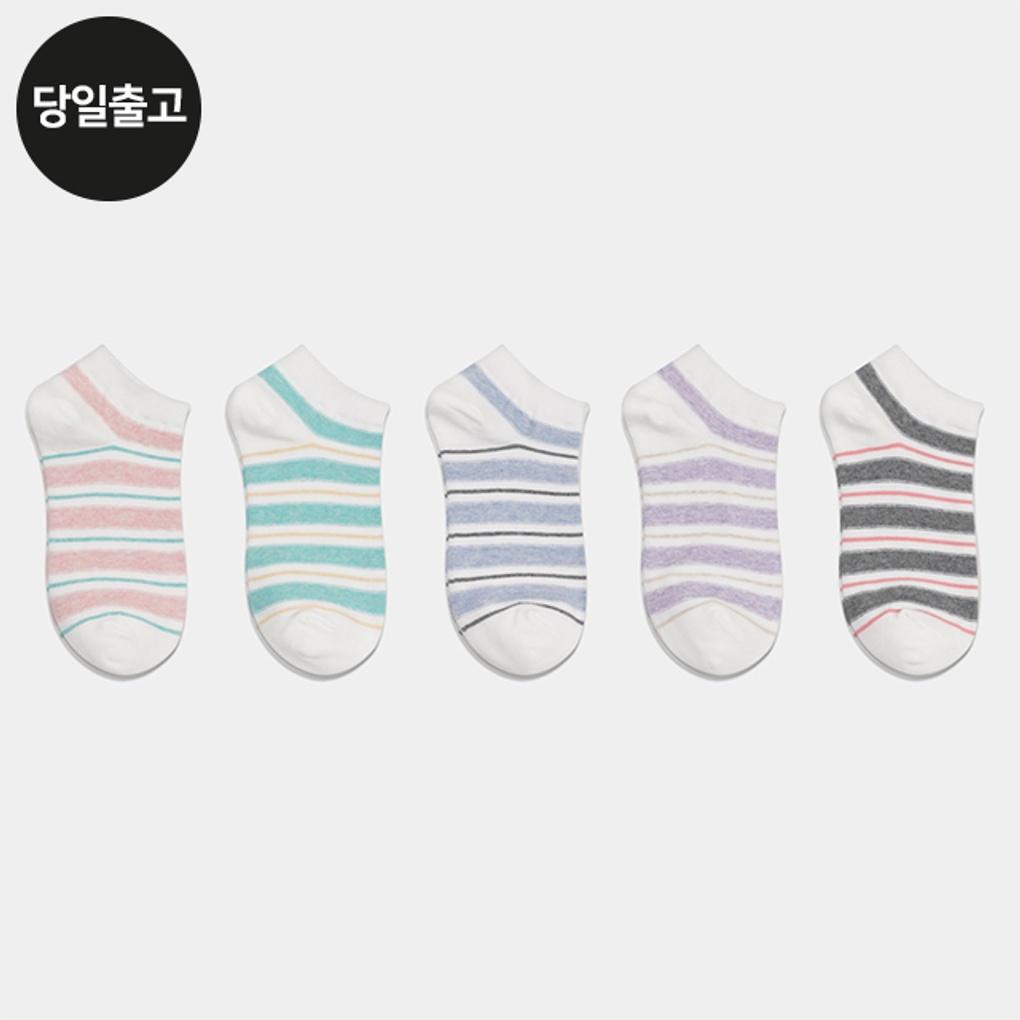 

PG Women s/Student Classic Ringle Ankle Socks (5 Pairs) Daily Stripe Set