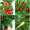Christmas Garland,Christmas Garland with Lights,Xmas Decor,9 ft Rattan Artificial Flower Vine Plants Xmas Decorations for Indoor Outdoor Home Mantel