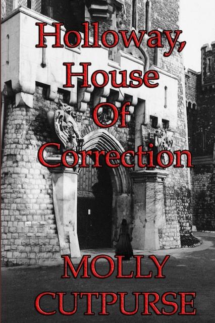 The Holloway, House of Correction Book