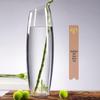 Vaso da terra in vetro trasparente con bocca obliqua per soggiorno o tavolo da pranzo - Perfetto per composizioni di bambù o fiori secchi