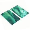 Glass Kitchen Serving Boards with Green Leaf Graphics 2X30X52 Cm