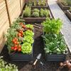 Set of 2 Raised Beds for Garden, Galvanised Outdoor Planters for Herbs Vegetables, Use for Patio Balcony, Grey