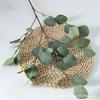 Artificial Leaves Eucalyptus Robusta Smith For Wedding Party Decor